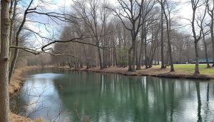 découvrez nos gratins de fin d’hiver avec une astuce ingénieuse qui fait sensation. des recettes simples et savoureuses que tout le monde adore !